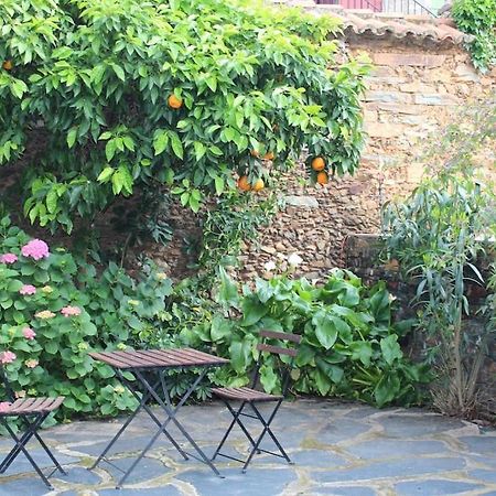 Casa Rural Con Piscina Privada Casar de Palomero 外观 照片